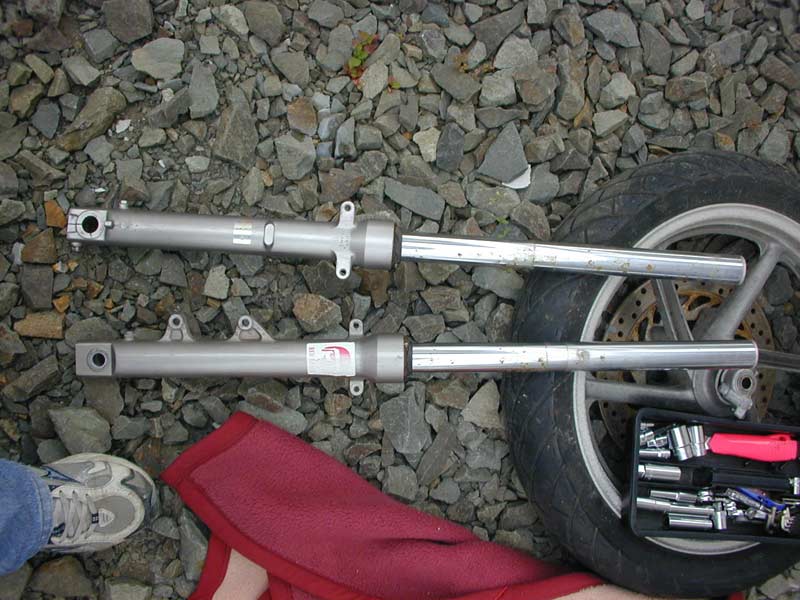 Forks